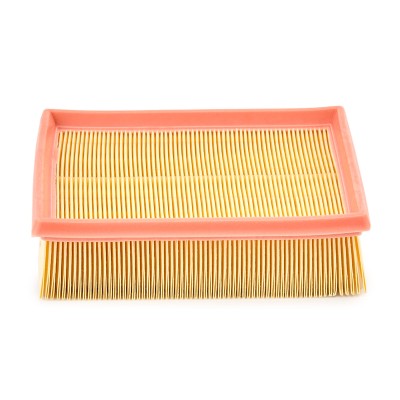 Luftfilter RIDEX 8A0168P 8A0168P - foto 4