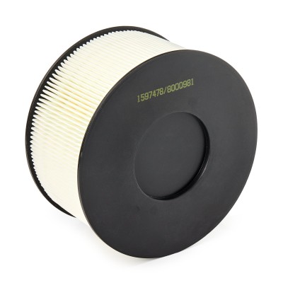 Luftfilter RIDEX 8A0115 8A0115 - foto 9