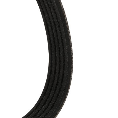 Keilrippenriemen RIDEX 305P0498P 305P0498P - foto 5