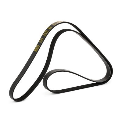 Keilrippenriemen RIDEX 305P0246P 305P0246P - foto 4