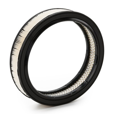 Luftfilter RIDEX 8A0009 8A0009 - foto 8