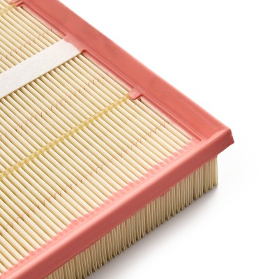 Luftfilter RIDEX 8A0089 8A0089 - foto 10