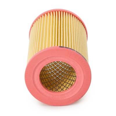 Luftfilter RIDEX 8A0137P 8A0137P - foto 4