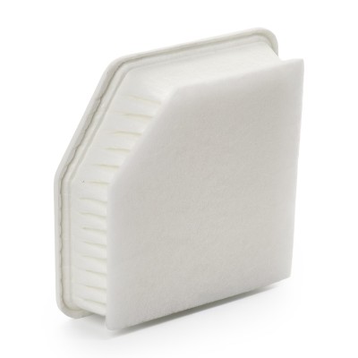 Luftfilter RIDEX 8A0163 8A0163 - foto 9