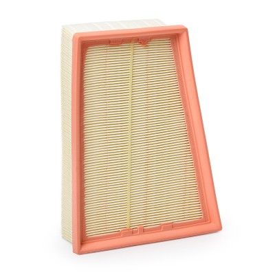 Luftfilter RIDEX 8A0251 8A0251 - foto 8