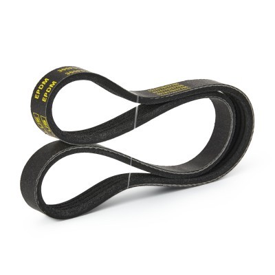 Keilrippenriemen RIDEX 305P0166P 305P0166P - foto 4