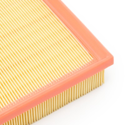Luftfilter RIDEX 8A0669 8A0669 - foto 10