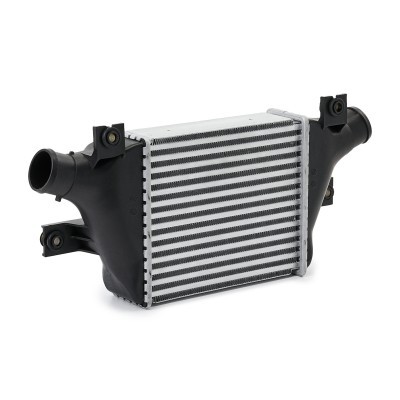 Ladeluftkühler RIDEX 468I0167 468I0167 - foto 4