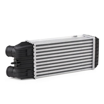 Ladeluftkühler RIDEX 468I0139 468I0139 - foto 4