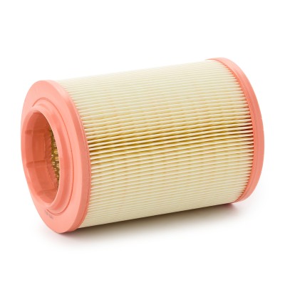 Luftfilter RIDEX 8A0134 8A0134 - foto 8