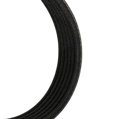 Keilrippenriemen RIDEX 305P0145P 305P0145P - foto 5