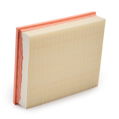 Luftfilter RIDEX 8A0679 8A0679 - foto 9