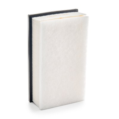 Luftfilter RIDEX 8A0160 8A0160 - foto 9