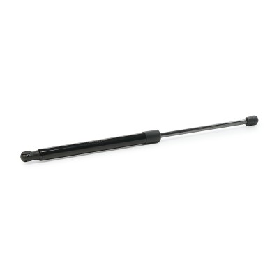 Gasfeder, Koffer-/Laderaum RIDEX 219G0048 219G0048 - foto 10