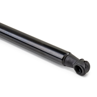 Gasfeder, Koffer-/Laderaum RIDEX 219G0095 219G0095 - foto 8