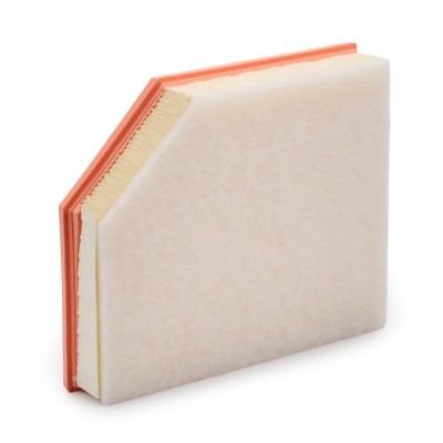Luftfilter RIDEX 8A0836 8A0836 - foto 9
