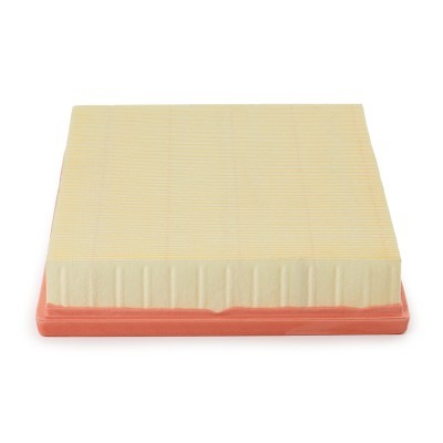 Luftfilter RIDEX 8A0022P 8A0022P - foto 4