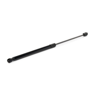 Gasfeder, Koffer-/Laderaum RIDEX 219G0004 219G0004 - foto 9