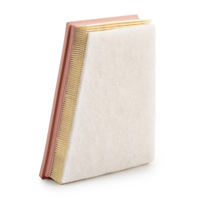 Luftfilter RIDEX 8A0868 8A0868 - foto 9