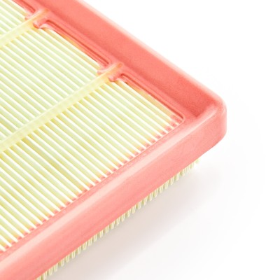 Luftfilter RIDEX 8A0794 8A0794 - foto 10