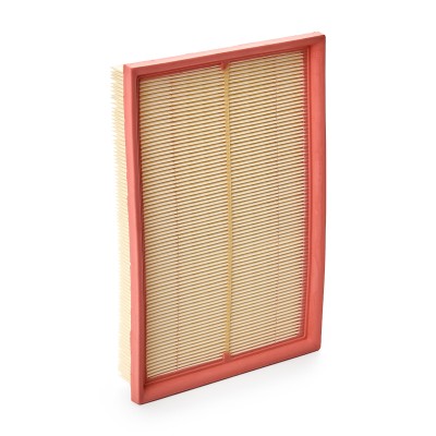 Luftfilter RIDEX 8A0024 8A0024 - foto 8