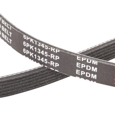 Keilrippenriemen RIDEX 305P0584P 305P0584P - foto 5