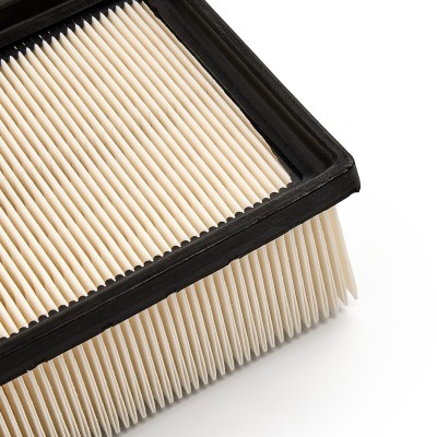 Luftfilter RIDEX 8A0061 8A0061 - foto 10