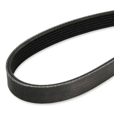 Keilrippenriemen RIDEX 305P0170P 305P0170P - foto 4