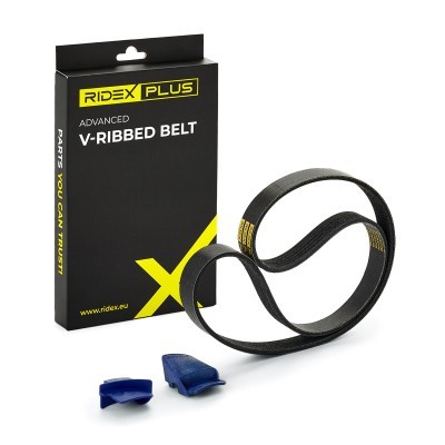 Keilrippenriemen RIDEX 305P0116P 305P0116P - foto 2