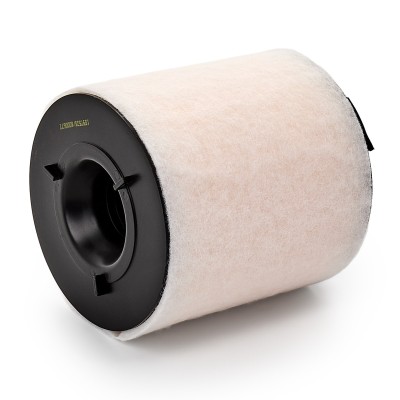 Luftfilter RIDEX 8A0167 8A0167 - foto 9