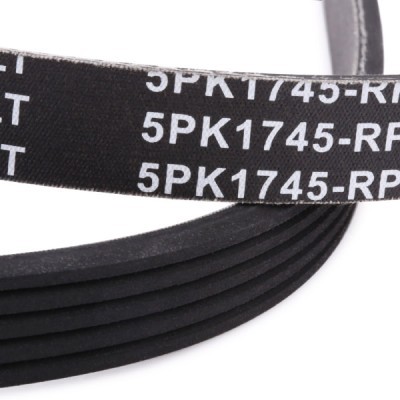 Keilrippenriemen RIDEX 305P0160P 305P0160P - foto 5