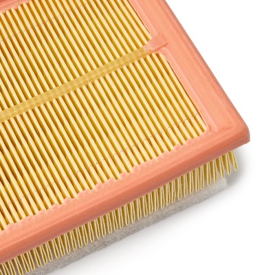 Luftfilter RIDEX 8A0132P 8A0132P - foto 5