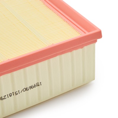 Luftfilter RIDEX 8A0918 8A0918 - foto 10