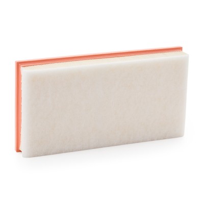 Luftfilter RIDEX 8A0998 8A0998 - foto 8