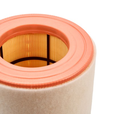 Luftfilter RIDEX 8A0435 8A0435 - foto 10