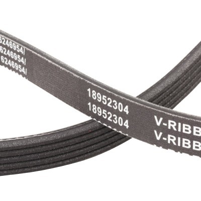 Keilrippenriemen RIDEX 305P0149P 305P0149P - foto 5