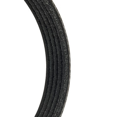 Keilrippenriemen RIDEX 305P0125P 305P0125P - foto 5