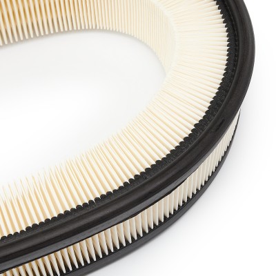 Luftfilter RIDEX 8A0245 8A0245 - foto 5