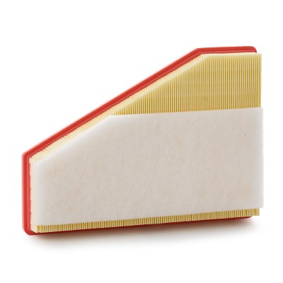 Luftfilter RIDEX 8A0290 8A0290 - foto 8