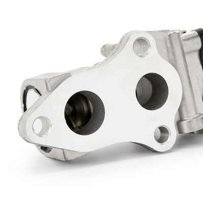 AGR-Ventil RIDEX 1145E0094 1145E0094 - foto 6