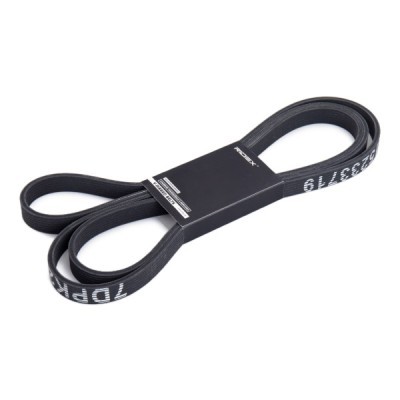 Keilrippenriemen RIDEX 305P0459 305P0459 - foto 2