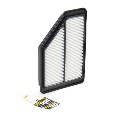 Luftfilter RIDEX 8A0096P 8A0096P - foto 2