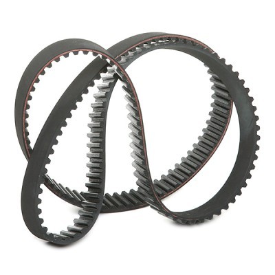 Zahnriemen RIDEX 306T0167 306T0167 - foto 3