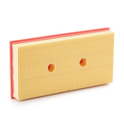 Luftfilter RIDEX 8A0038P 8A0038P - foto 8