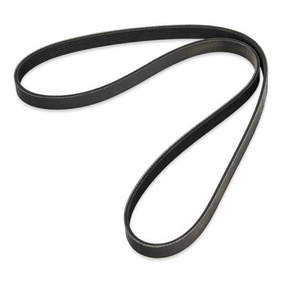 Keilrippenriemen RIDEX 305P0170P 305P0170P - foto 3