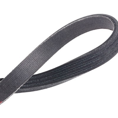Keilrippenriemen RIDEX 305P0502P 305P0502P - foto 5