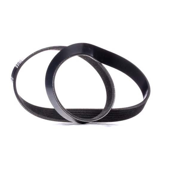 Keilrippenriemen RIDEX 305P0049 305P0049 - foto 1