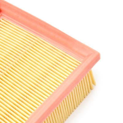 Luftfilter RIDEX 8A0059P 8A0059P - foto 5