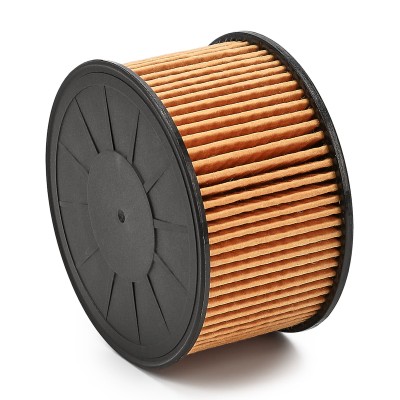 Ölfilter RIDEX 7O0213P 7O0213P - foto 15