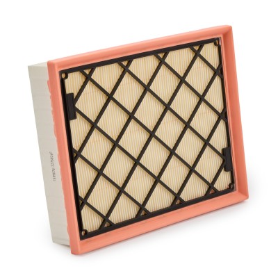 Luftfilter RIDEX 8A0679 8A0679 - foto 8
